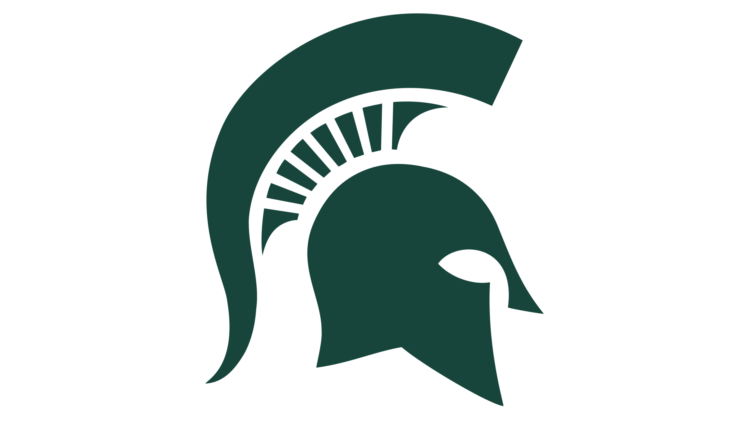 Michigan State University