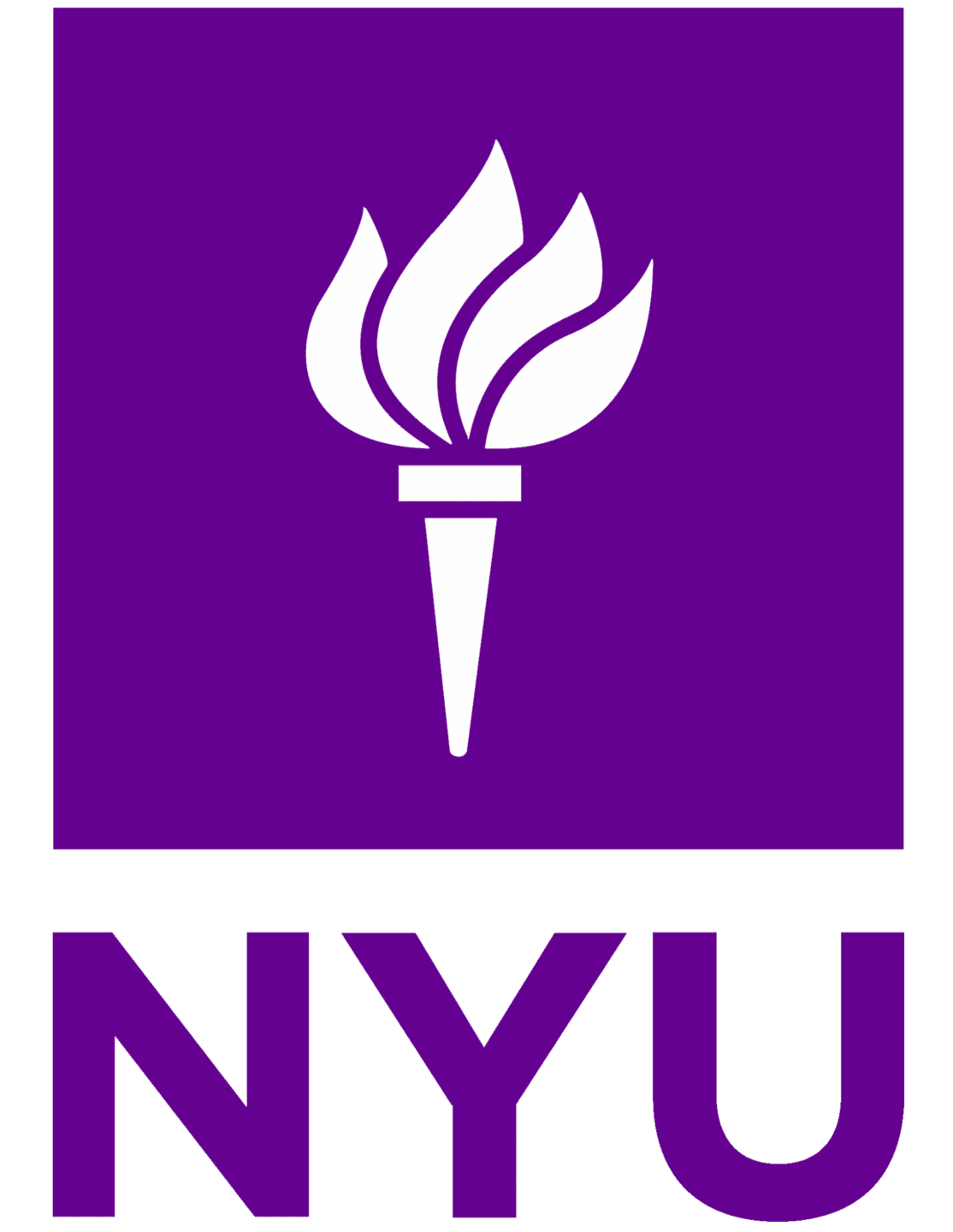 New York University